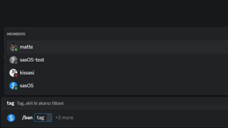 A kitiltás parancsának bemutatása indok és időtartam megadásával.